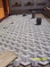 100_7456.JPG