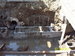 100_7505.JPG