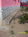 100_7573.JPG